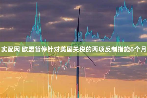 实配网 欧盟暂停针对美国关税的两项反制措施6个月