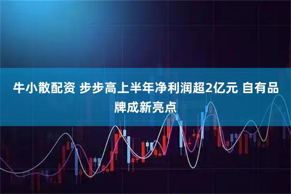 牛小散配资 步步高上半年净利润超2亿元 自有品牌成新亮点