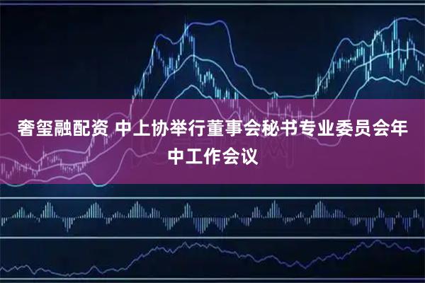 奢玺融配资 中上协举行董事会秘书专业委员会年中工作会议