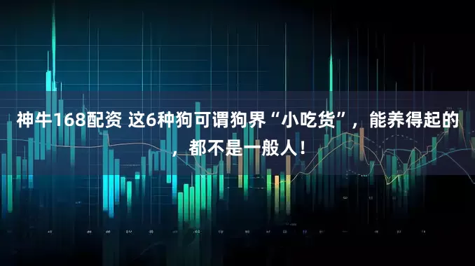 神牛168配资 这6种狗可谓狗界“小吃货”，能养得起的，都不是一般人！